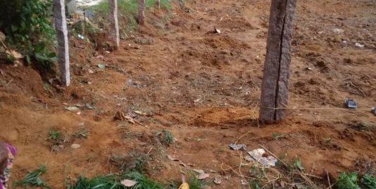 16.5 Cents Land for sale at Vetiyaar south, Mavelikara, Alapuzha