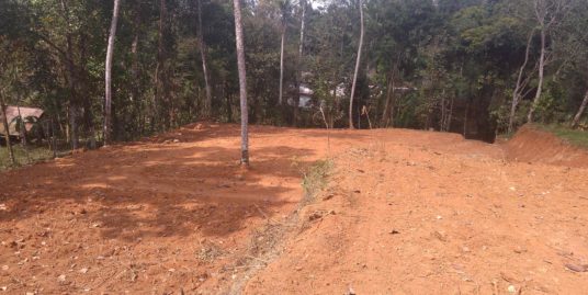 68 Cents House Plot For Sale at Veliyannoor,  Koothattukulam