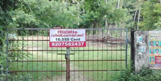 16.55 Cents Residential land for sale at Kodungallur, Kerala, India