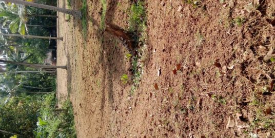 Residential plot 90 cents for sale in Thevalakara, Kollam Dist