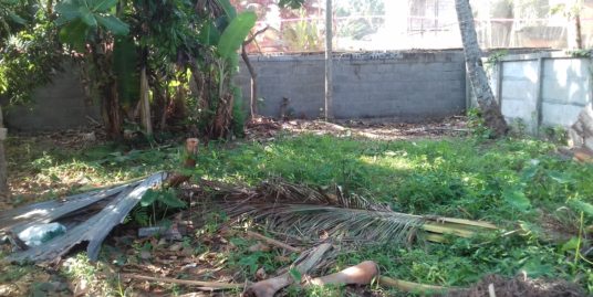 5 Cents of Plot for immediate sale in Kollam Uliyakovil