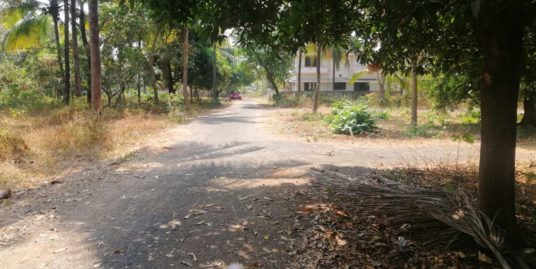 6.25 cents Residential Land for  Sale In Peramangalam , Thrissur