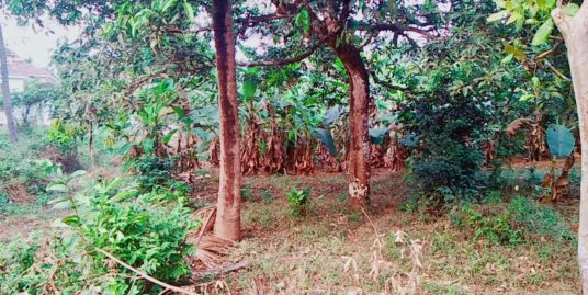 Residential land for Sale at Potta, Chalakudy for Rs. 315000 per cent