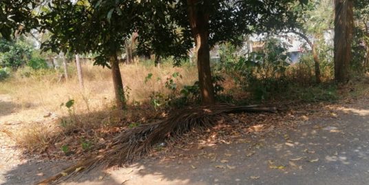 8.75 cents Residential Land For Sale In Mundur, Thrissur