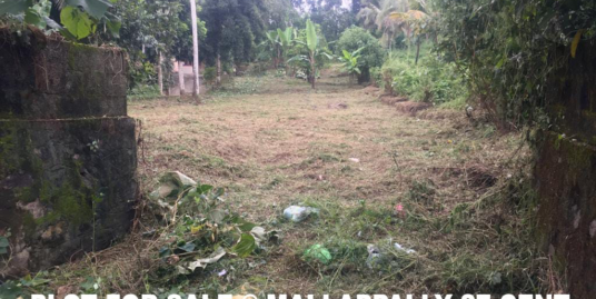 27 Cent Plot For Sale at Mallappally, Pathanamthitta