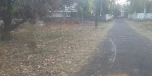 7 Cent and 10 Cents Residential Land for sale in Nellikunnu, Thrissur