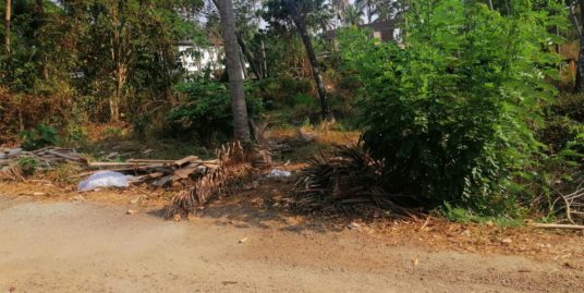 12 CENT PLOTS FOR SALE AT KUTTENELLUR,THRISSUR