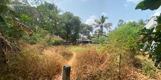RESIDENTIAL LAND FOR SALE IN KUTTUMUKKU KARUNYA NAGAR