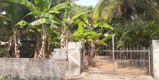 RESIDENTIAL LAND FOR SALE IN AYYANTHOLE CHUNGAM