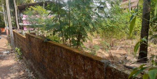 RESIDENTIAL LAND FOR SALE IN AYYANTHOLE CENTRE