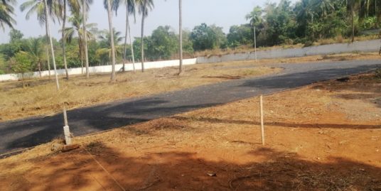RESIDENTIAL LAND FOR SALE IN KAIPARAMB