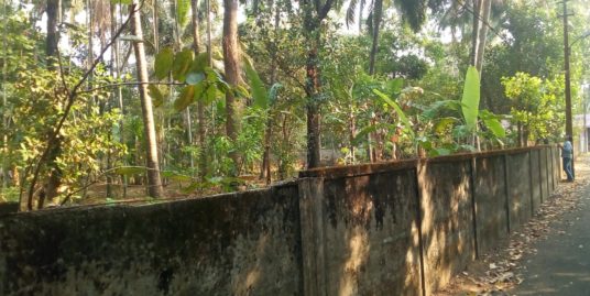 10 CENT COMMERCIAL LAND FOR SALE IN PAtTURAIKAL