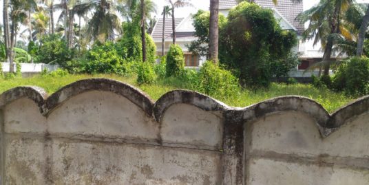 RESIDENTIAL LAND FOR SALE IN MUNDUPALAM