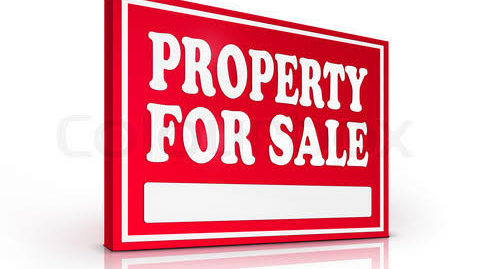 Land suitable for commercial or for Housing purpose