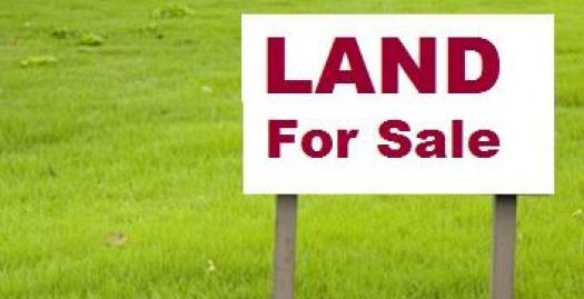 Land for sale / lease