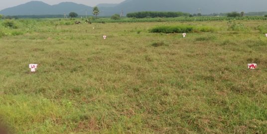 33 cents land with old house for sale in chandanappally