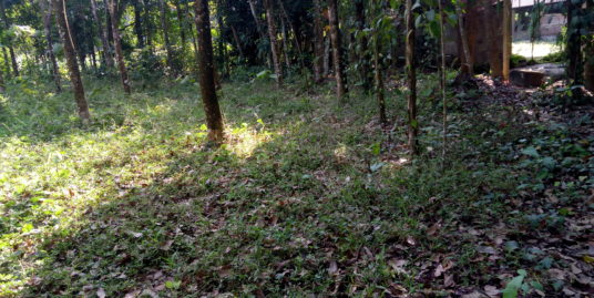 10 cents of residential land at Kizhakambalam(Ernakulam District)