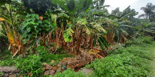 LAND FOR SALE AT MANEED IN ERNAKULAM