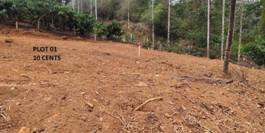 Residential Land at Vaduvanchal – Wayanad
