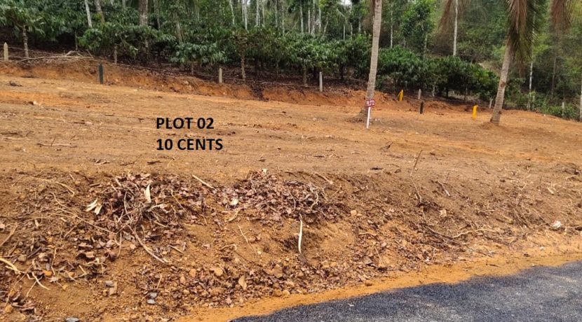 Plot 02