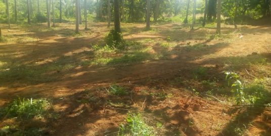 Residential Land For Sale In Viyyur, Padukkad