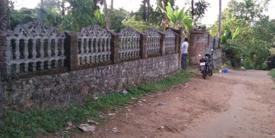 16.5 Cents Property for Sale Near Pullad, Pathanamthitta