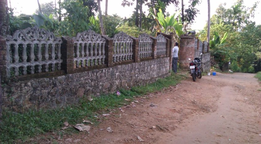 IMAG0090