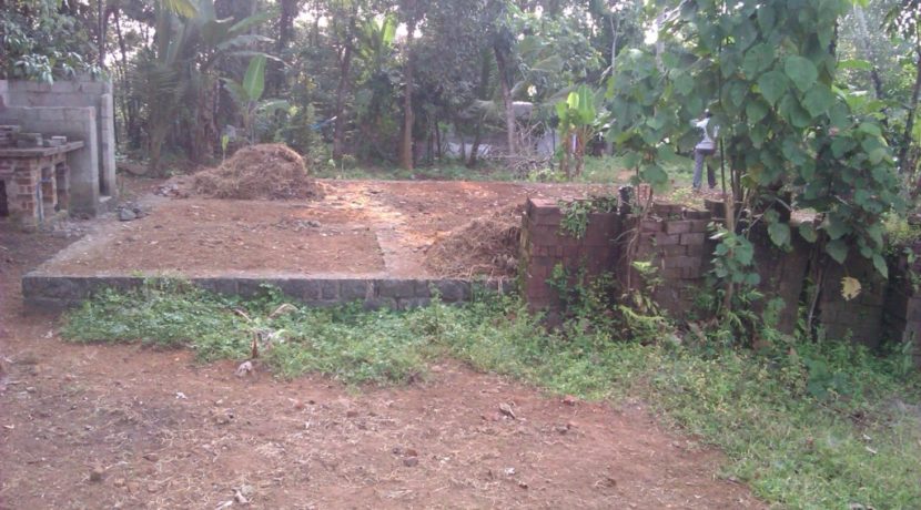 IMAG0093