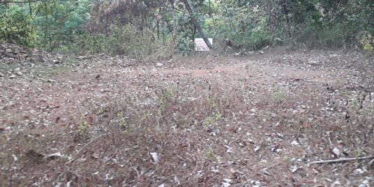 25 cents of house plot for sale in Neeloor, Palai, Kottayam