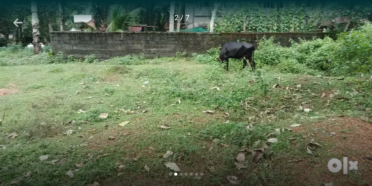 24 Cent Land For Sale