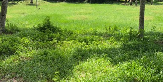 Land for sale on urgent basis