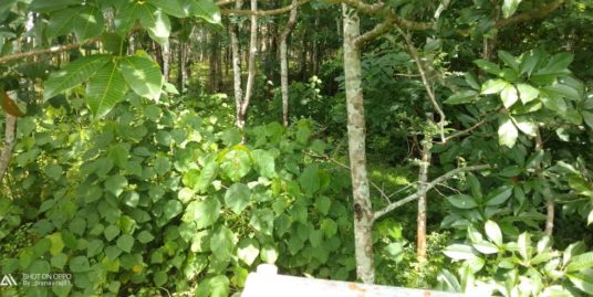 3.92 Acres of farm /Residential land for sale at Wadakkanchery,  Kerala,