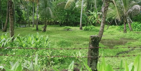 20 cent residential land for sale in enamakkal,venkidangu,thrissur