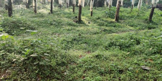 10 cent land for sale in Erumely contact 81 570 71 323