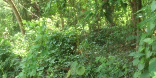 3.5 Acre Plot for sale in a good rate at Thrissur