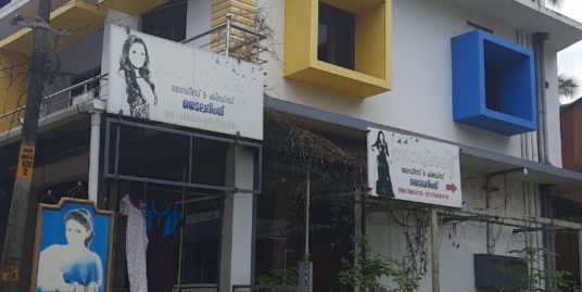 Flat for sale at Mannuthy