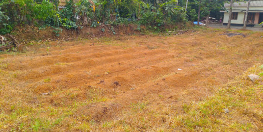 10 cent Residential Land for Sale Near Perumbavoor,  Kerala