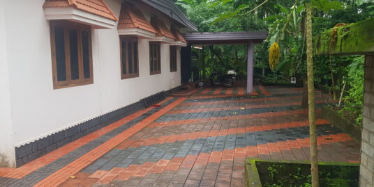 16.50cents land with residential villa for sale at Thamarassery