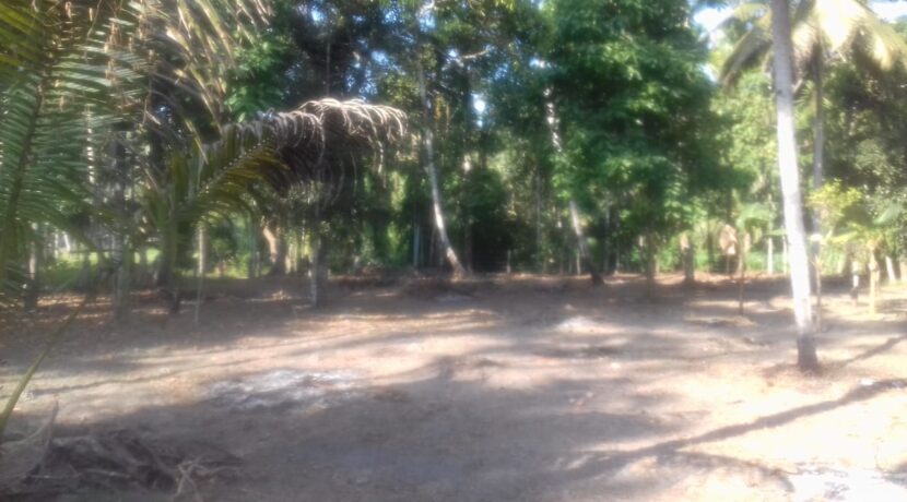 IMG-20200207-WA0007