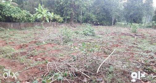 EXCELLENT HOUSE PLOT FOR SALE AT MUDIKKARAI JUNCTION NEAR KURUPPAMPADY