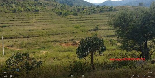 Lowest Priced 6.30-acre farm land / Cheap Agricultural Land