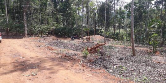 10/12/16/28 Cent Land for sale in sulthan bathery