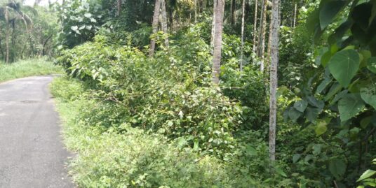 15 cents land for sale at Thrissur