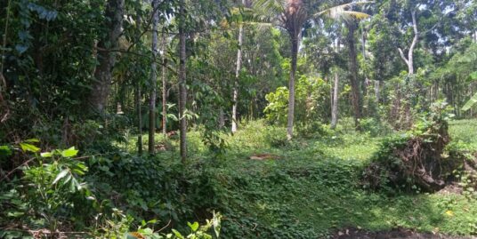 1 acre 5cent land in vaikkom kottayam