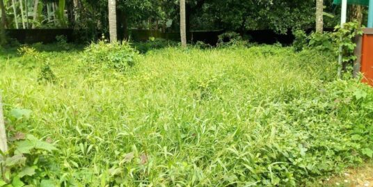 13.5 cent residential land for sale in Chembukaavu, Thrissur,
