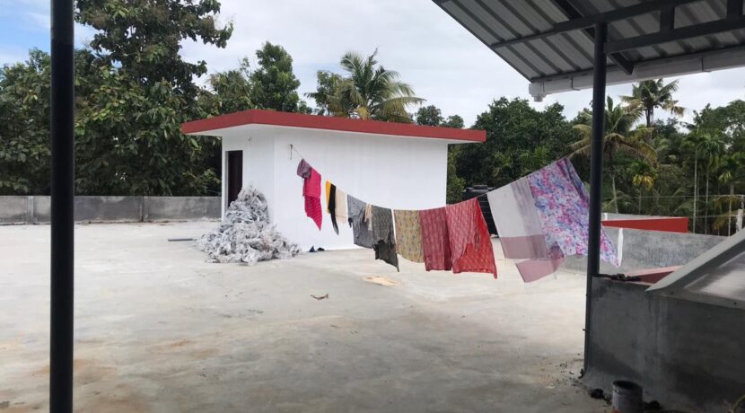 Image6