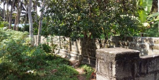 10 Cent of Residential Land for Sale Near Peyad Market Junction