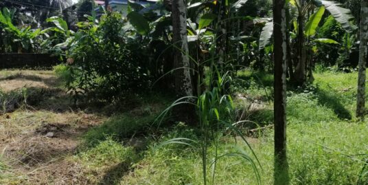 50 cent residential land for sale near Kerala Varma College,Thrissur,