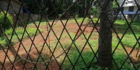 Land for sale in Elthuruth. Total land area of 19.5 cent. Tar road frontage with compound wall on the boundaries, and well . Plot is located near St Aloysius College Price per cent 5 lac (Negotiable).