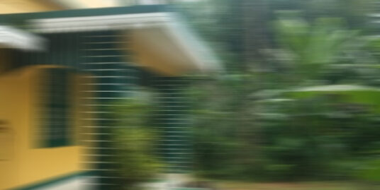 Plot and House For Sale at Parlikkad (Between Wadakkanchery and Athani, Thrissur)